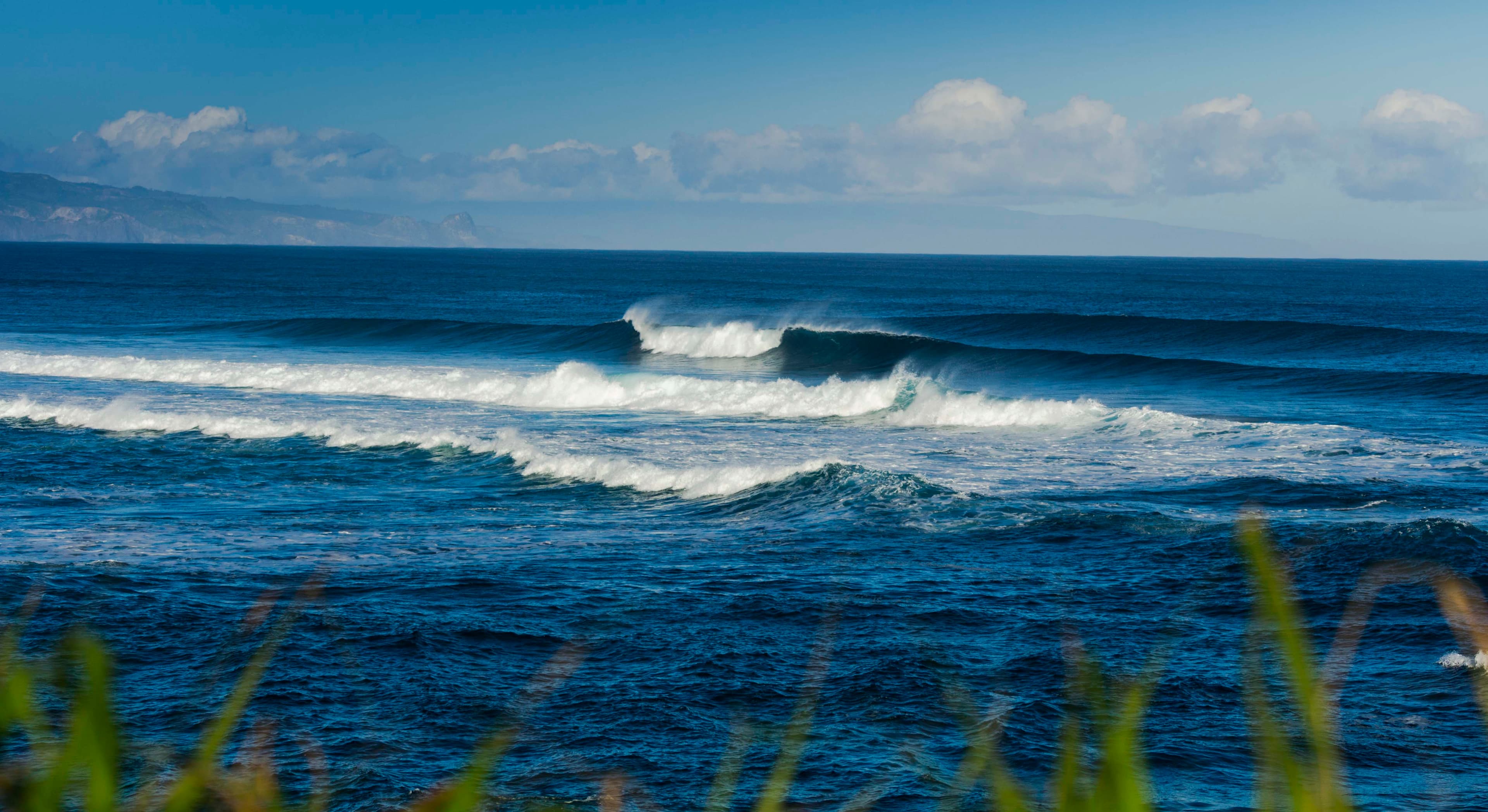 Surfer at a Maui spot